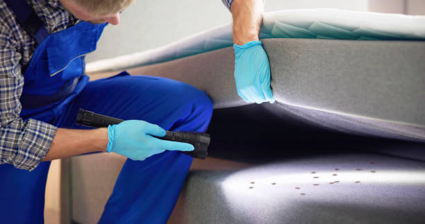 Best Ant Control Services  in Scottsburg, IN