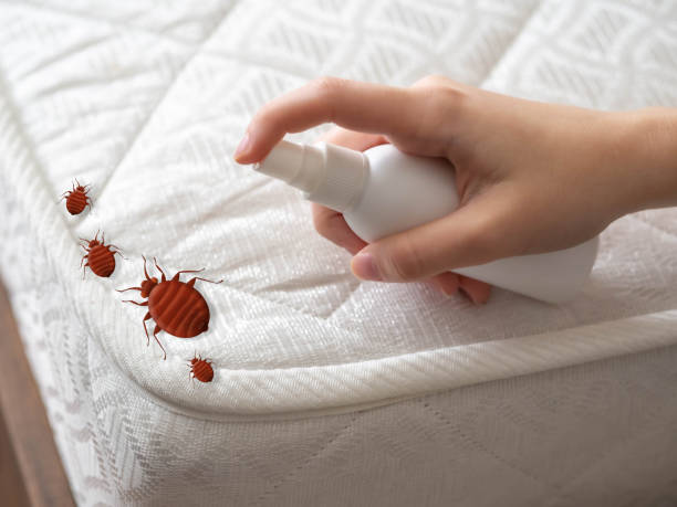Best Local Pest Control Services  in Scottsburg, IN