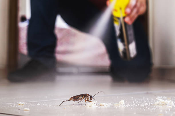 Best Mosquito Control Services  in Scottsburg, IN