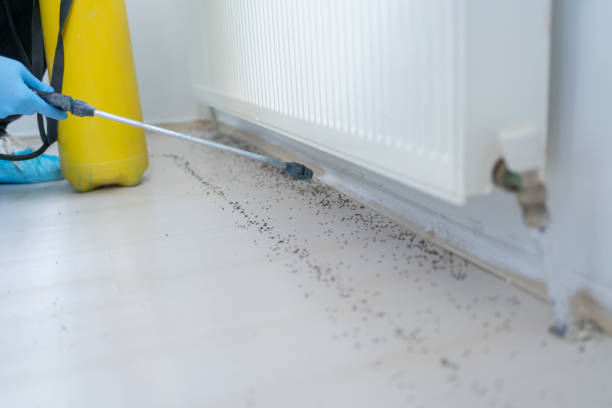 Best Wildlife Control Services  in Scottsburg, IN