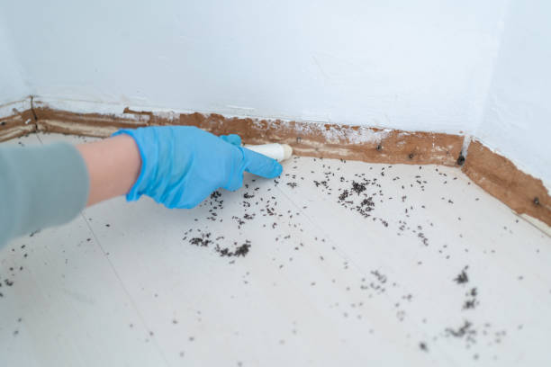 Best Affordable Pest Control Services  in Scottsburg, IN